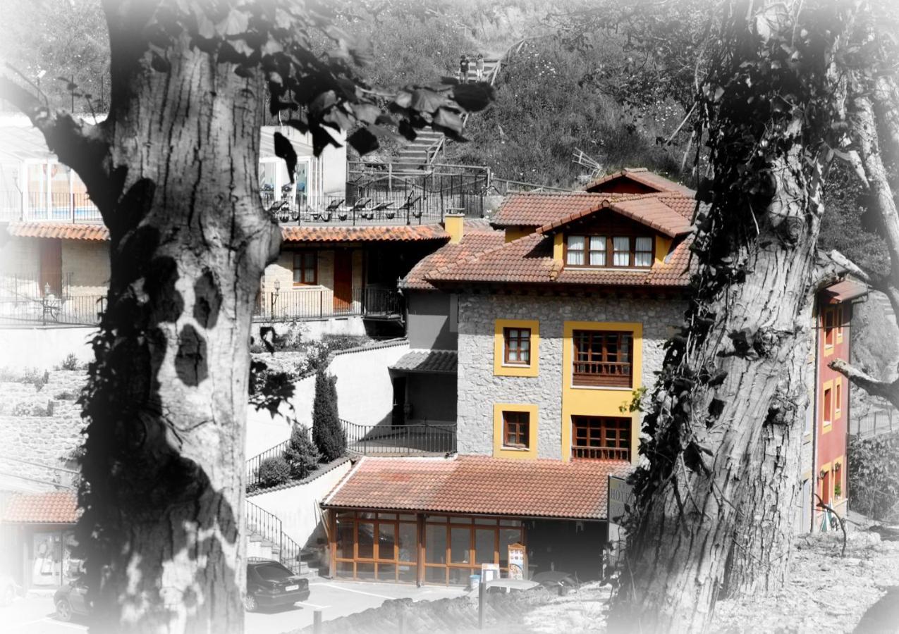 Hotel Puente Vidosa Амьева Экстерьер фото